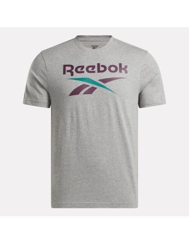 Reebok Identity Big Logo Tee Hombre